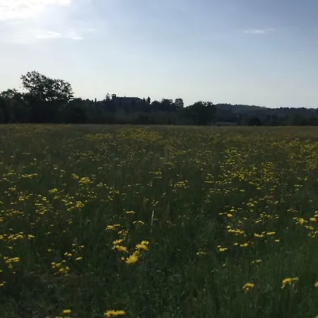 Βίλα Caroline Anzano Del Parco